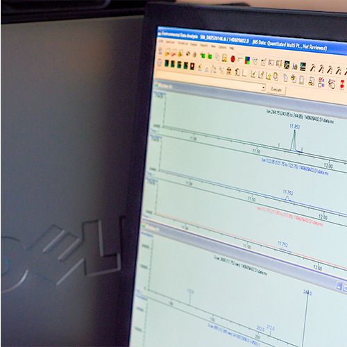 Mini Technical Services